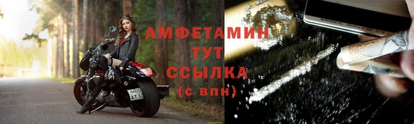 ГАЛЛЮЦИНОГЕННЫЕ ГРИБЫ Гусев