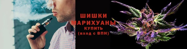 соль ск Дмитровск