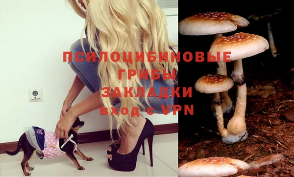 ГАЛЛЮЦИНОГЕННЫЕ ГРИБЫ Гусев