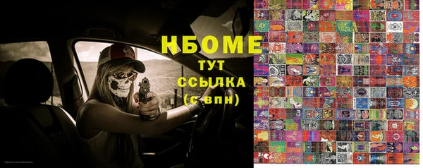 ГАЛЛЮЦИНОГЕННЫЕ ГРИБЫ Гусев