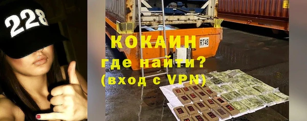 ГАЛЛЮЦИНОГЕННЫЕ ГРИБЫ Гусев