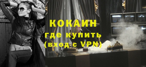 ГАЛЛЮЦИНОГЕННЫЕ ГРИБЫ Гусев