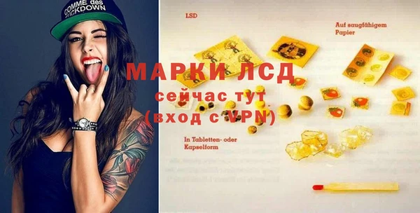 стафф Дмитров