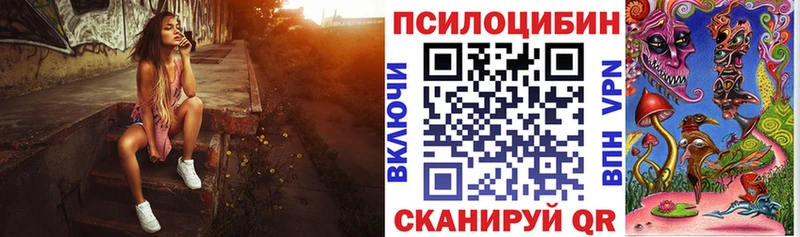 Купить  Аксай  Галлюциногенные грибы GOLDEN TEACHER 
